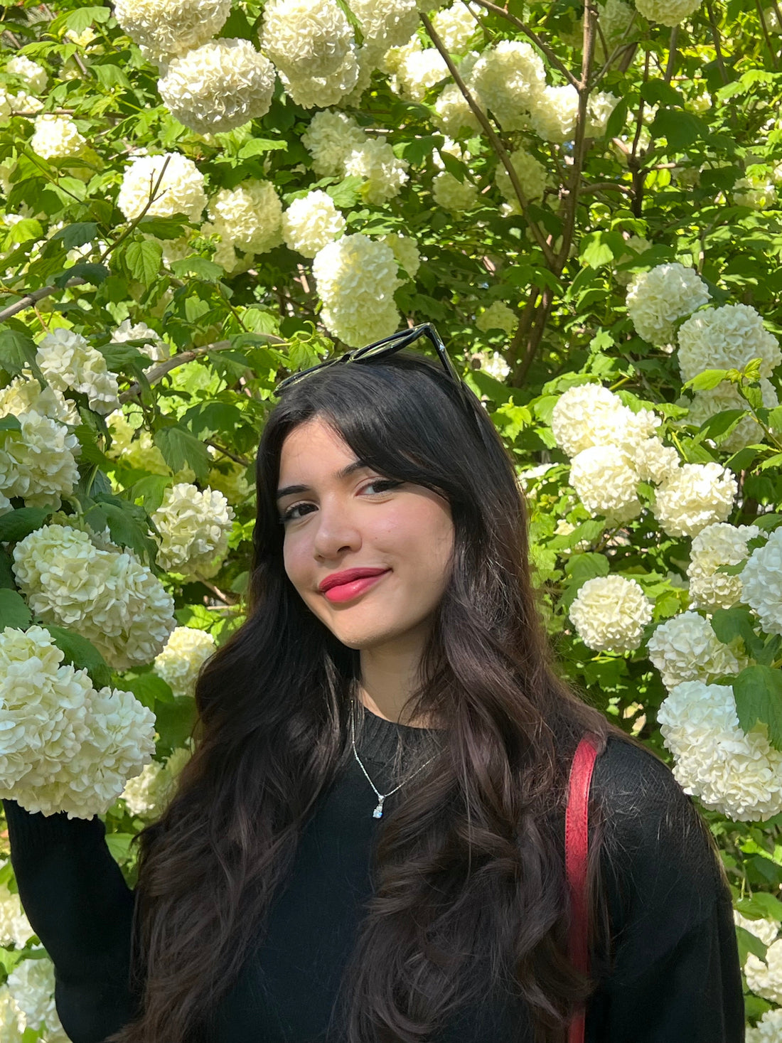 Cynthia Hussein