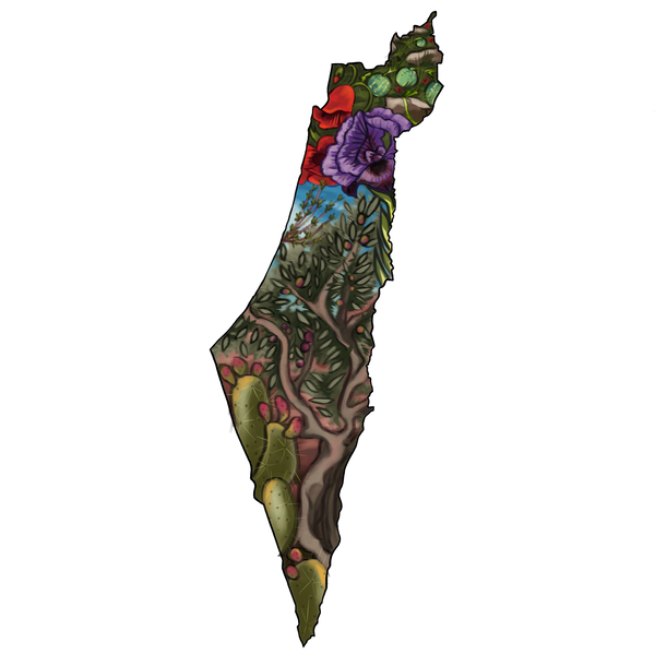 Map of Historic Palestine (Pre-1917)