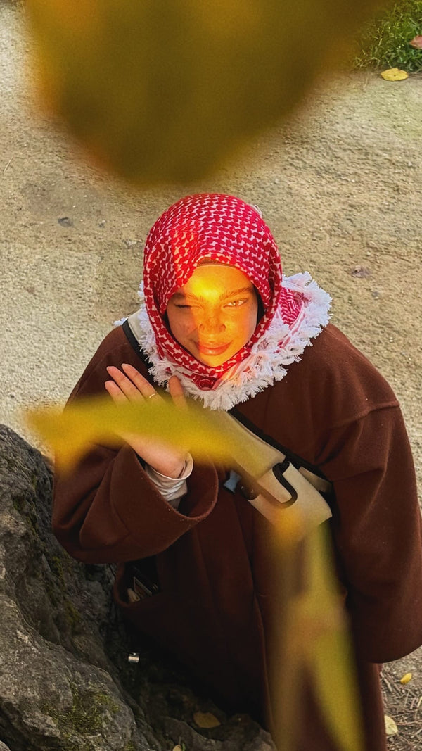 TouzaniXMrabet